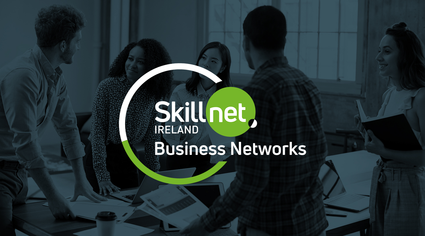 Skillnet Business Networks
