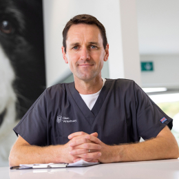 Glen Veterinary and XLVets Skillnet