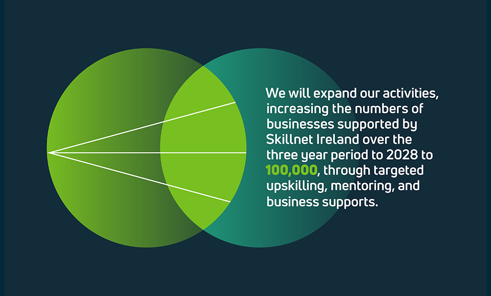 CEO Quote: We will expand our activities, increasing the number of businesses supported by Skillnet Ireland over the three year period to 2028 to 100,000, through targeted upskilling, mentoring, and business supports.