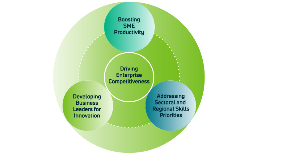 Driving Enterprise Competitiveness - Boosting SME productivity; Addressing sectoral and regional skills priorities; Optimising business leaders for innovation.