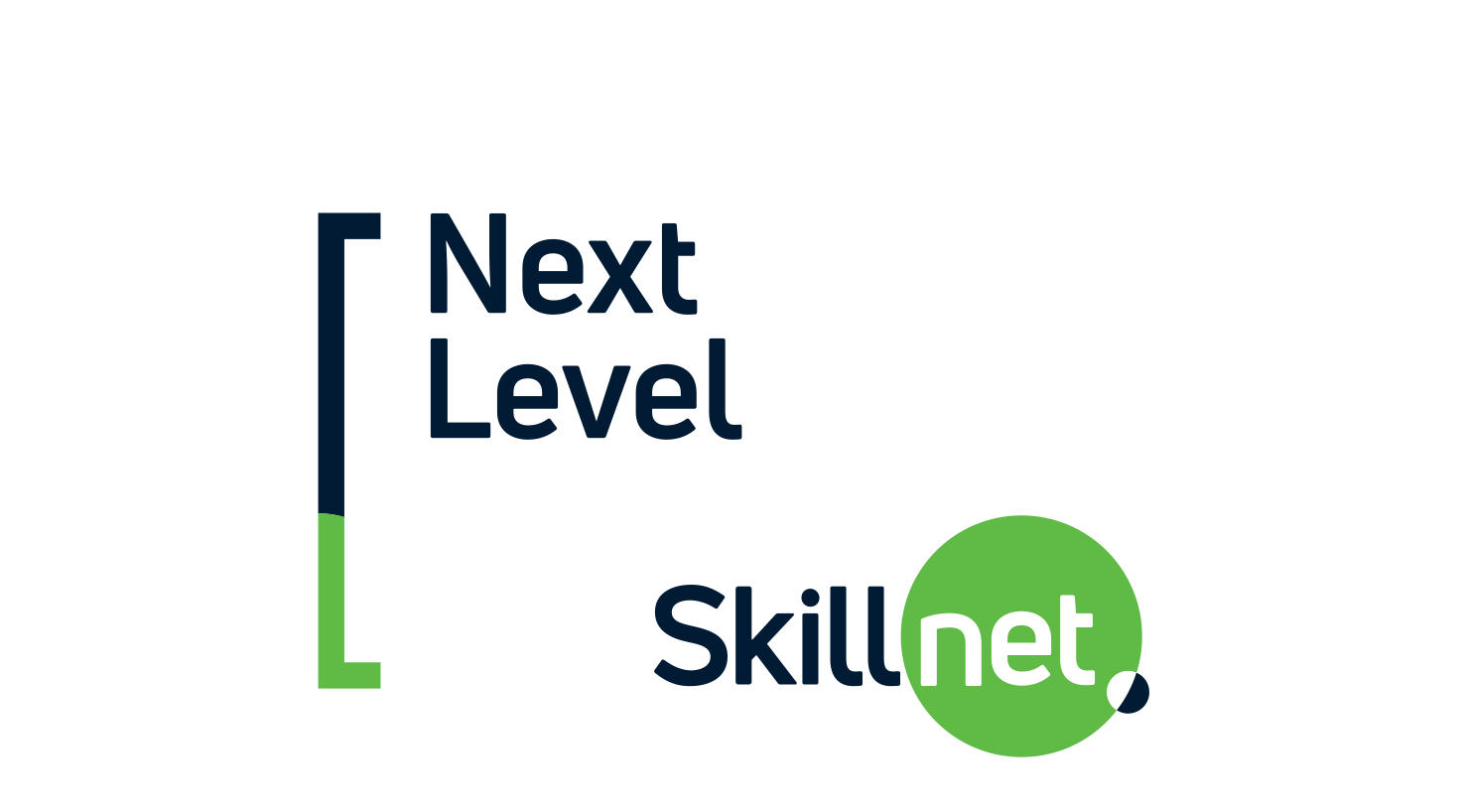 Next Level Skillnet