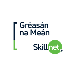 Gréasan Na Meán Skillnet