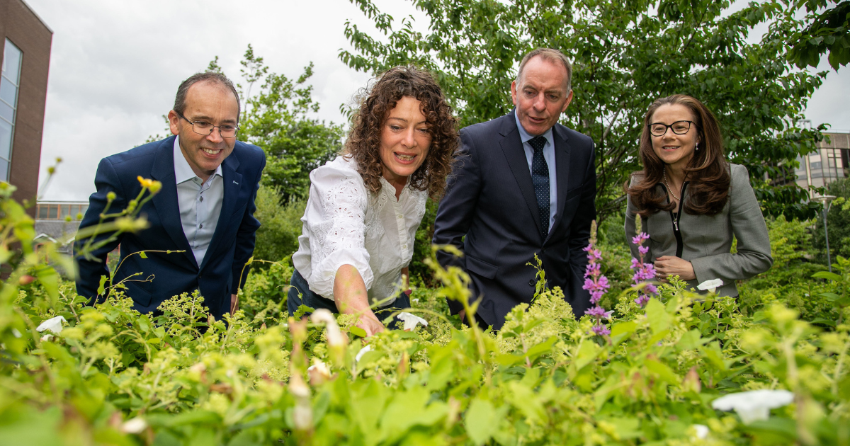 Skillnet Ireland and The Climate Ready Academy Launch First Biodiversity Leaders Programme for Irish Industry | European Year of Skills